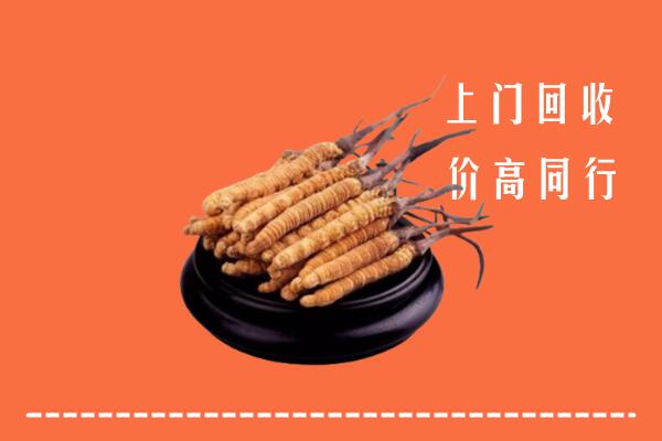 高价求购：武汉江岸区回收散虫草