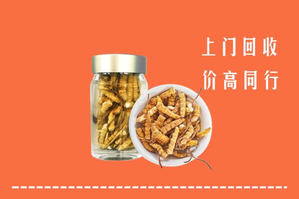收购行情：武汉江岸区回收冬虫夏草
